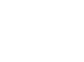 Passport to Freedom