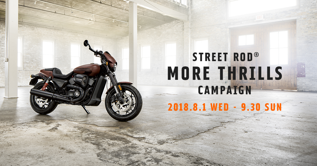Harley-Davidson レディーM値下げ 155cm女子ライダーの、少しは参考になるかも？ 足つき＆プチ